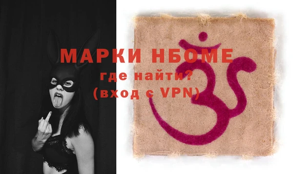 гидра Богородск