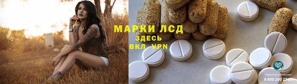 гидра Богородск