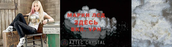 ГАЛЛЮЦИНОГЕННЫЕ ГРИБЫ Богданович