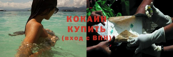 ГАЛЛЮЦИНОГЕННЫЕ ГРИБЫ Богданович