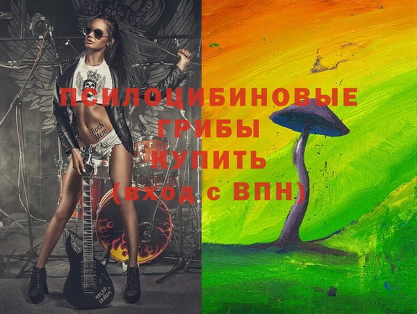 ГАЛЛЮЦИНОГЕННЫЕ ГРИБЫ Богданович