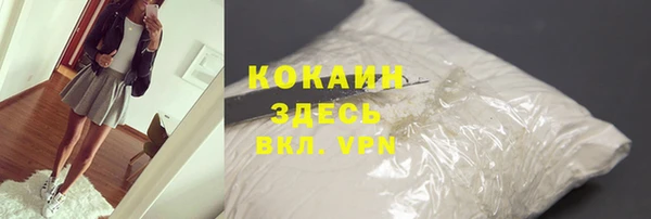 ГАЛЛЮЦИНОГЕННЫЕ ГРИБЫ Богданович