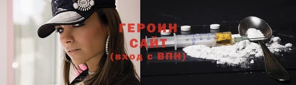 гидра Богородск