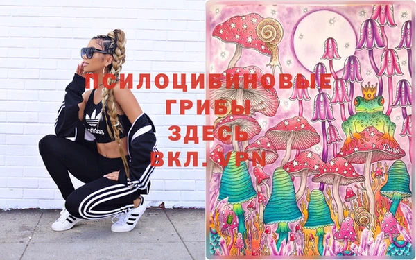 ГАЛЛЮЦИНОГЕННЫЕ ГРИБЫ Богданович
