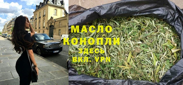 гидра Богородск