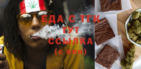 гидра Богородск