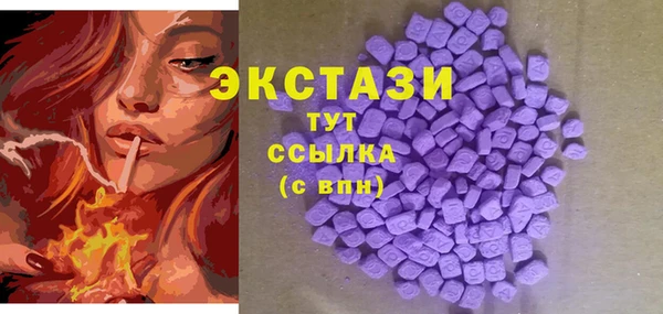 ECSTASY Елизово