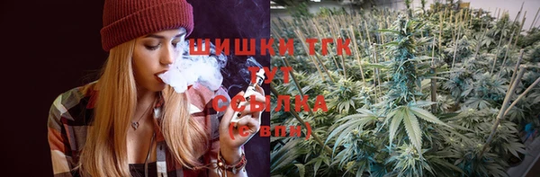 гидра Богородск