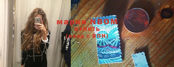 гидра Богородск