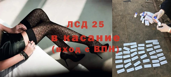 ГАЛЛЮЦИНОГЕННЫЕ ГРИБЫ Богданович