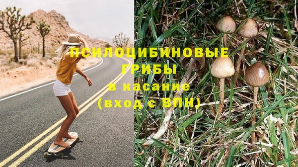 ГАЛЛЮЦИНОГЕННЫЕ ГРИБЫ Богданович