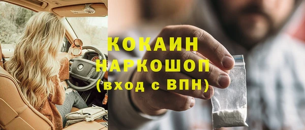 гидра Богородск