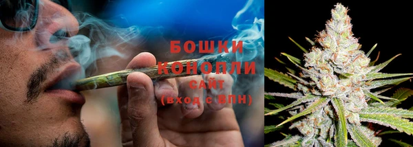 гидра Богородск
