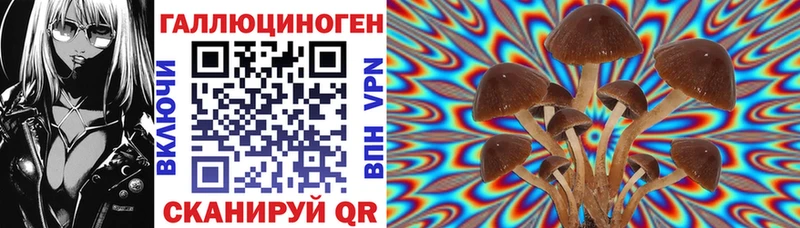 Псилоцибиновые грибы мицелий  Бодайбо 